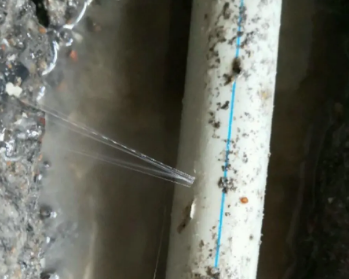 依兰卫生间测漏水多少钱